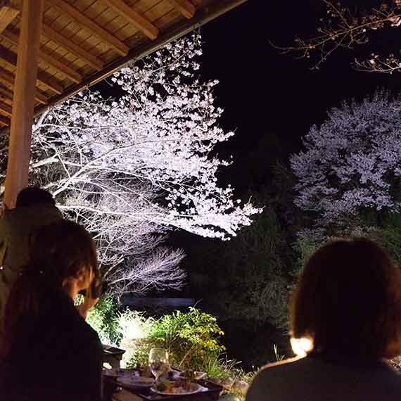 縁側でお花見